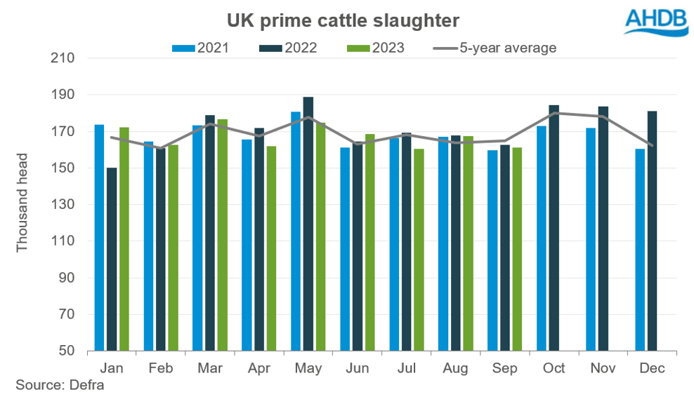UK prime cattle slaughter
